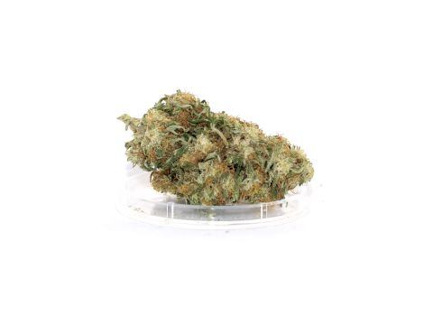Sativa Poland Susz CBG ”KWIATY Z KOMBINATU” - 2